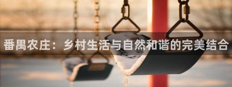 FH至尊怎么样