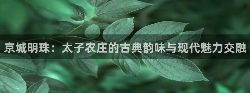 fh凤凰至尊app：京城明珠：太子农庄的古典韵味与现代魅力交