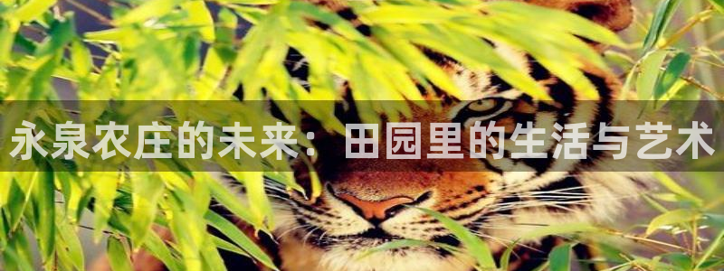 酷冷至尊fh912：永泉农庄的未来：田园里的生活与艺术