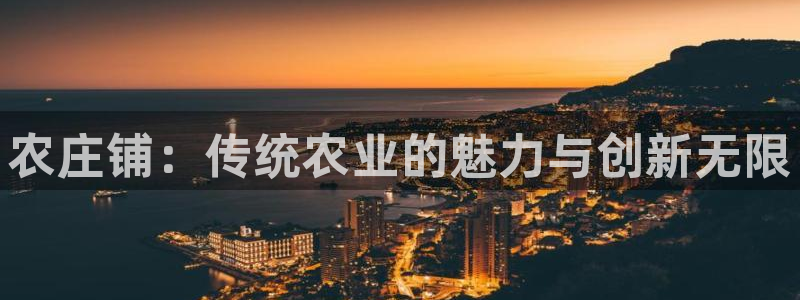 fh至尊诚信19年