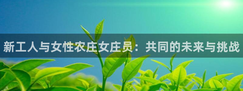 fh至尊诚信19年