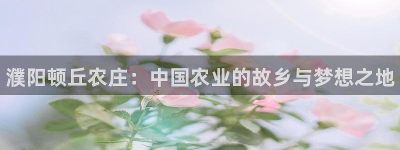 FH至尊登陆