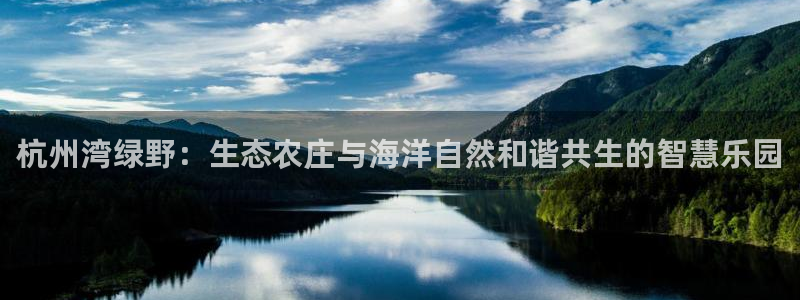 FH至尊怎么样