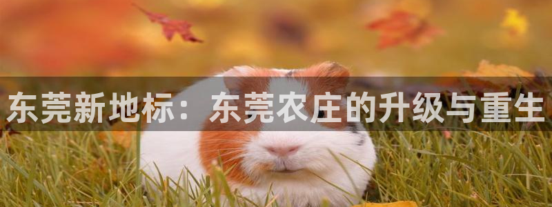 fh至尊黑铁