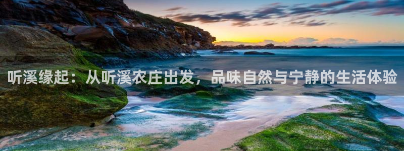 FH至尊隶属哪家公司