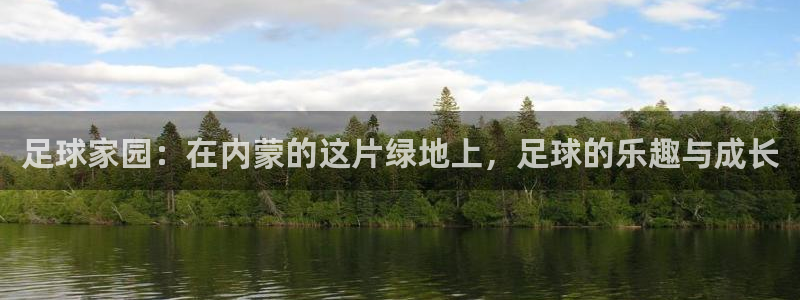 fh至尊怎么没有了