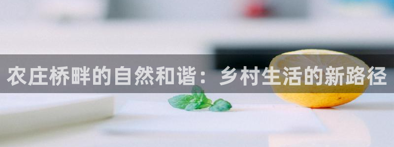 FH至尊平台
