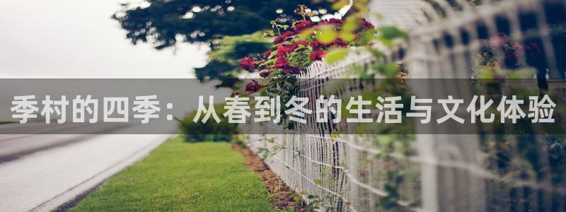 FH至尊app下载