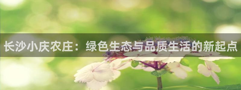 FH至尊信誉怎么样