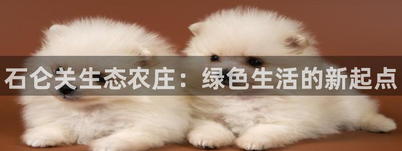 FH至尊黑钱