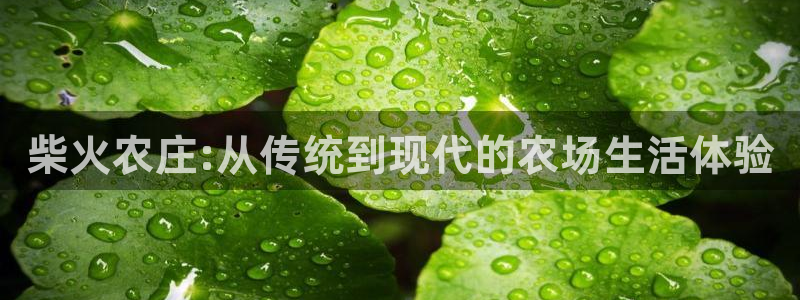 fh至尊游戏代理