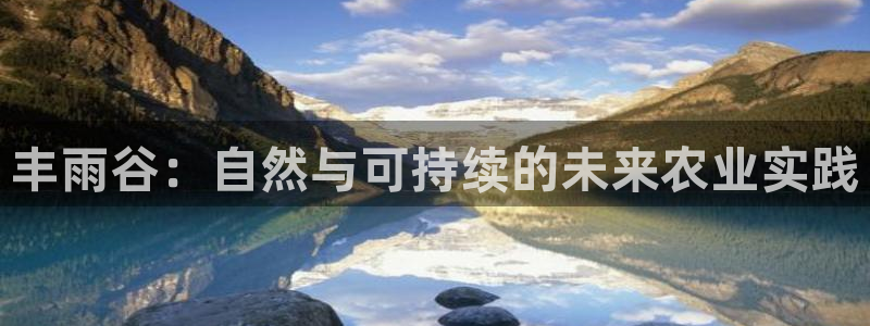 凤凰至尊fh凤凰版0a