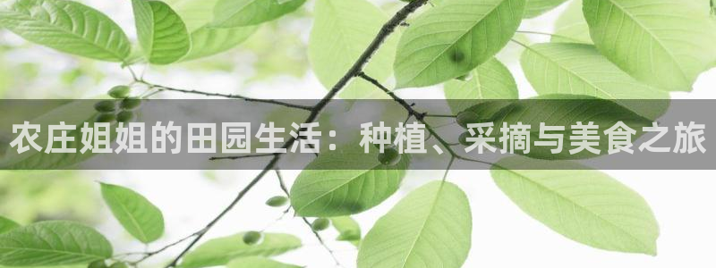 FH至尊是正规平台吗