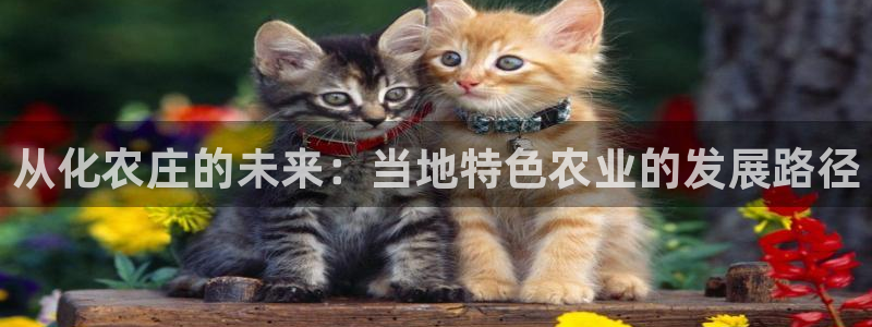 fh至尊是什么平台