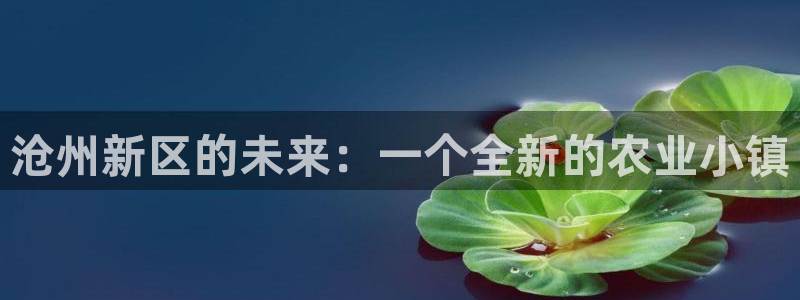 沃尔沃fh至尊旗舰版