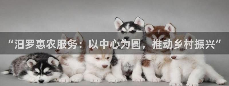 fh至尊是什么平台