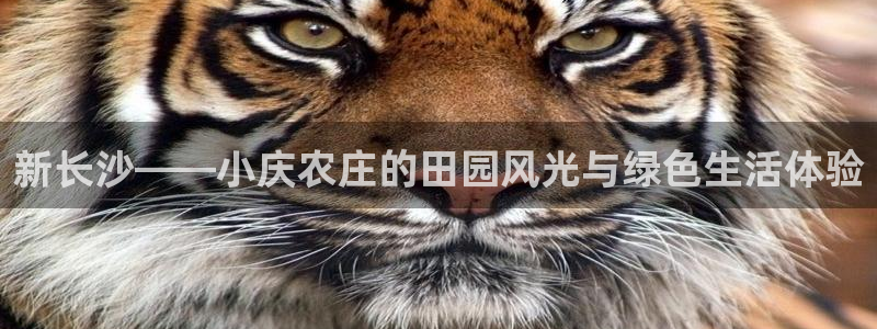 FH凤凰至尊娱乐