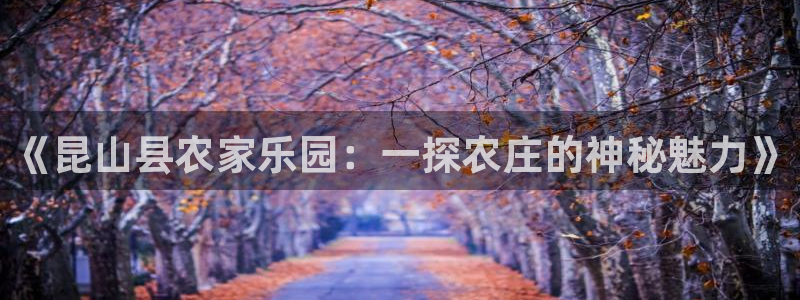 凤凰娱乐FH至尊