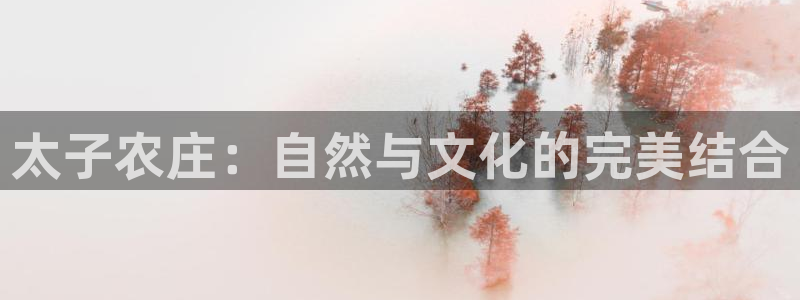 FH-FH至尊版的功能