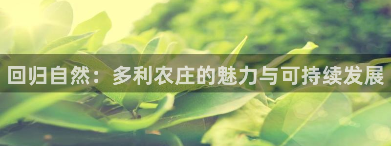 fh至尊品牌介绍