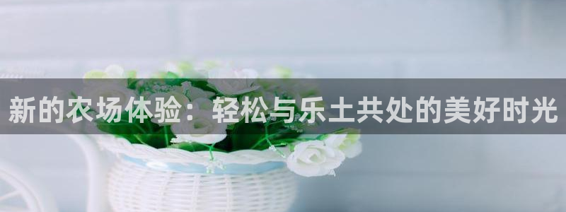 FH至尊是什么意思