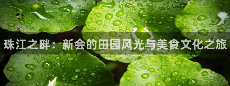 至尊FH下载