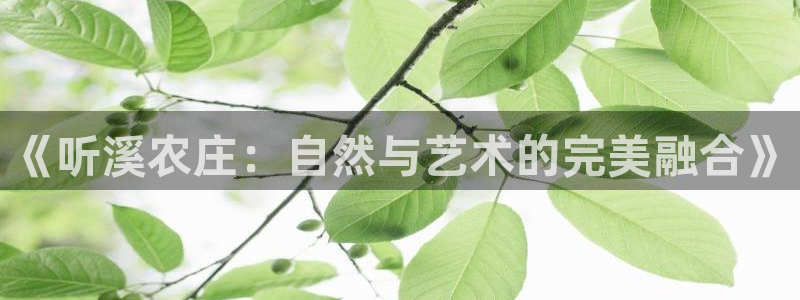 fh至尊平台多少年了