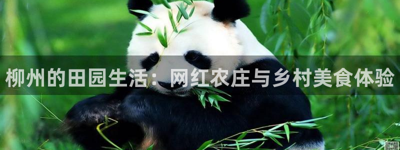 fh至尊平台安全密码忘记了