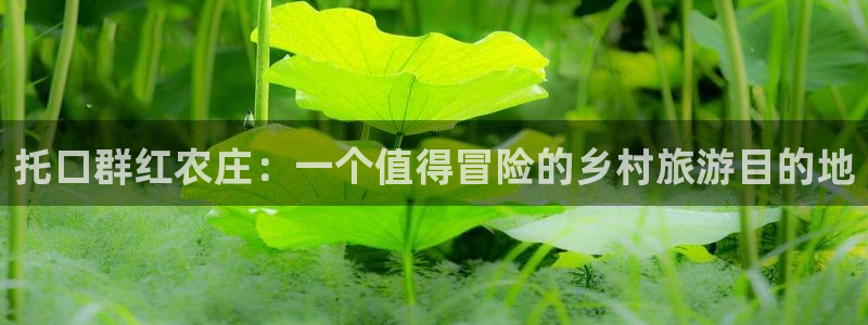 fh至尊正规吗
