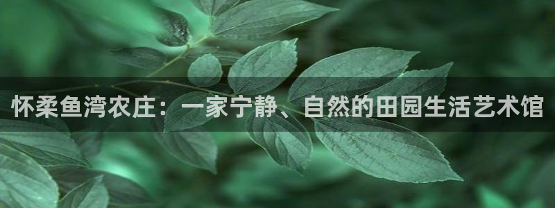 fh至尊平台坑人的原因