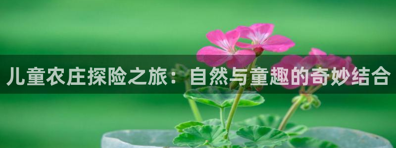 fh至尊凤凰是黑网