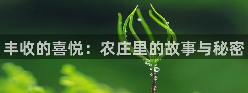 fh至尊游戏玩法