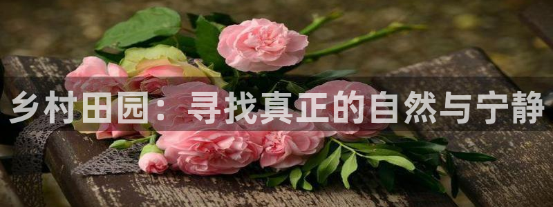 fh至尊平台黑钱