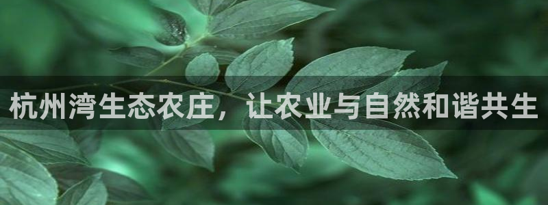 fh至尊凤凰是赌博