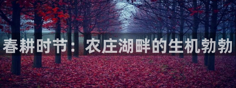 fh至尊平台怎么提现