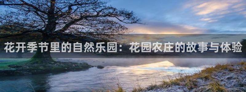 fh 至尊