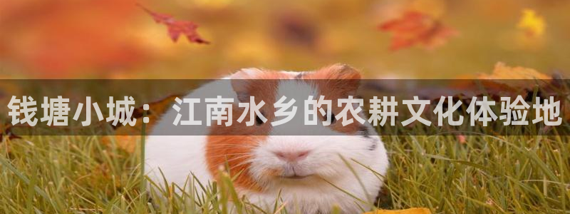 fh至尊官方旗舰店