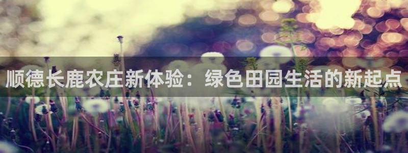 FH至尊平台是什么平台