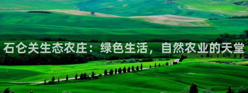 沃尔沃fh500至尊款