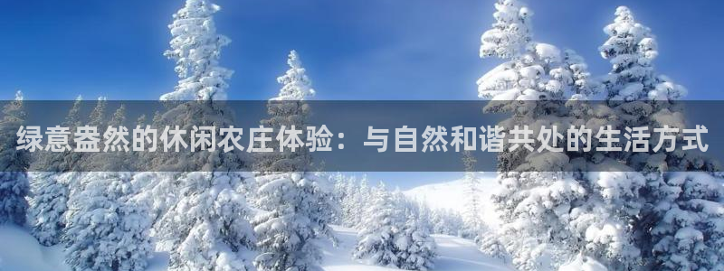 FH至尊属于哪里啊公司
