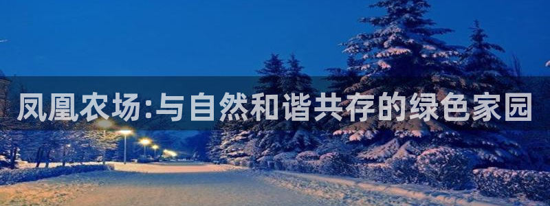 fh至尊是不是假的