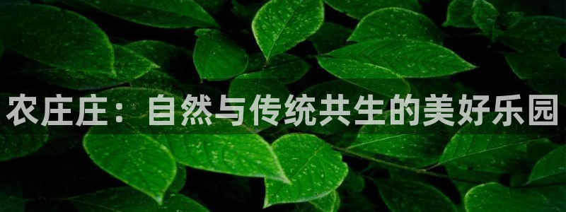 fh凤凰至尊平台