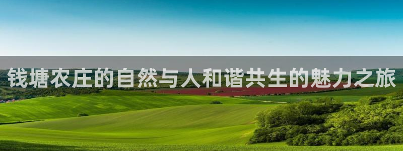 fh至尊是凤凰平台么