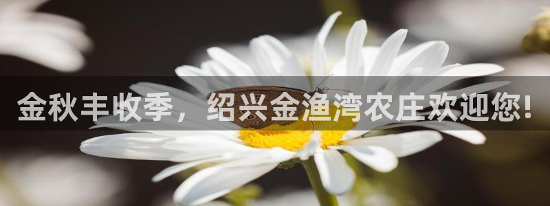 fh至尊平台如何提现