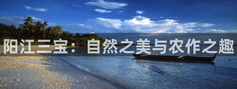 fh至尊闪退