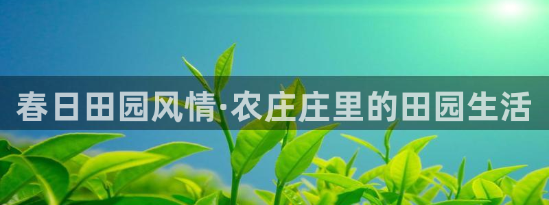 fh至尊平台如何提现