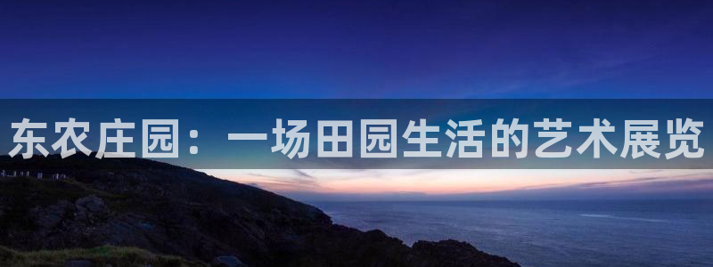 FH至尊平台怎样