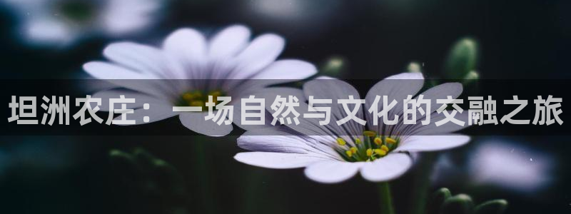 fh至尊凤凰官方旗舰店