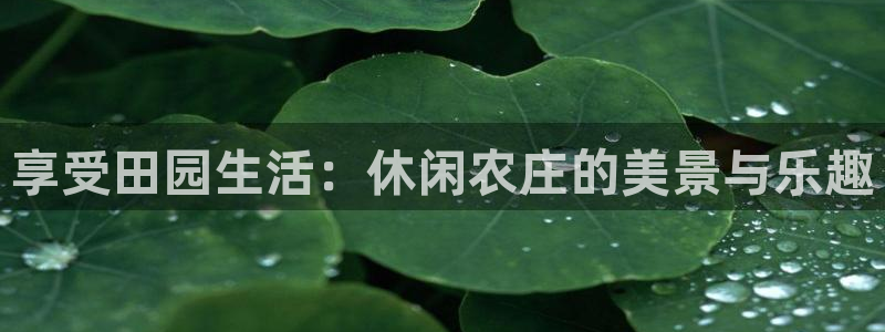 老凤凰改名FH至尊黑钱