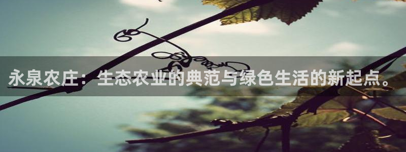 fh至尊官方网站